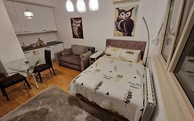 Owl Apartment