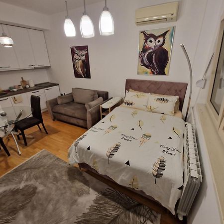 Owl Apartment Belgrad Dış mekan fotoğraf