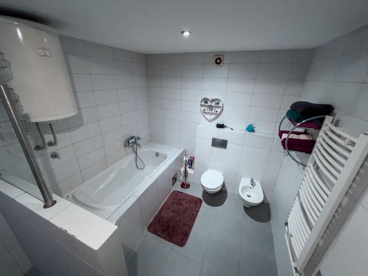 Owl Apartment Belgrad Dış mekan fotoğraf