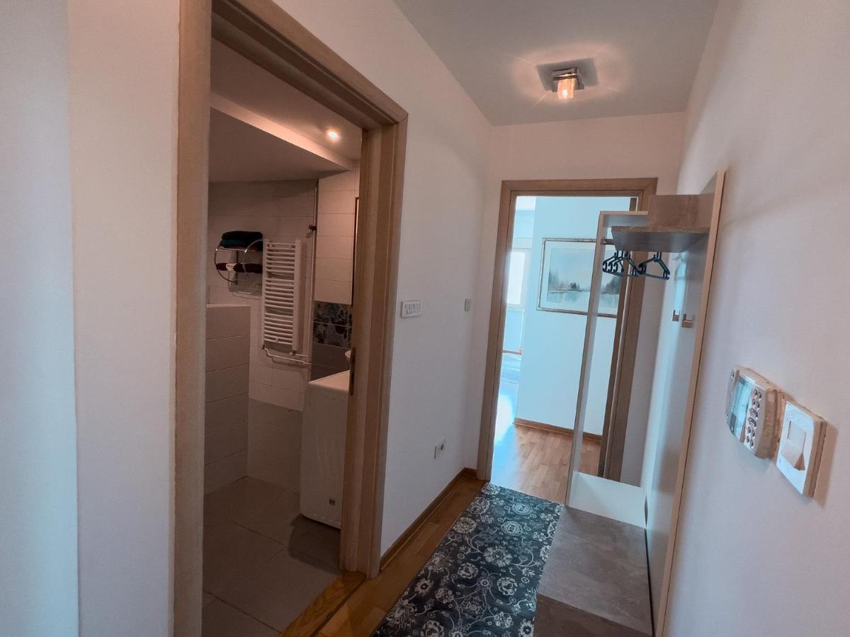 Owl Apartment Belgrad Dış mekan fotoğraf