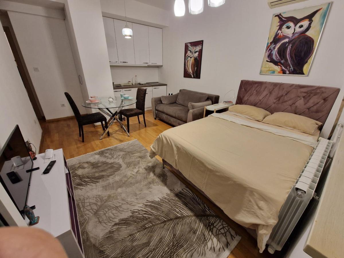 Owl Apartment Belgrad Dış mekan fotoğraf