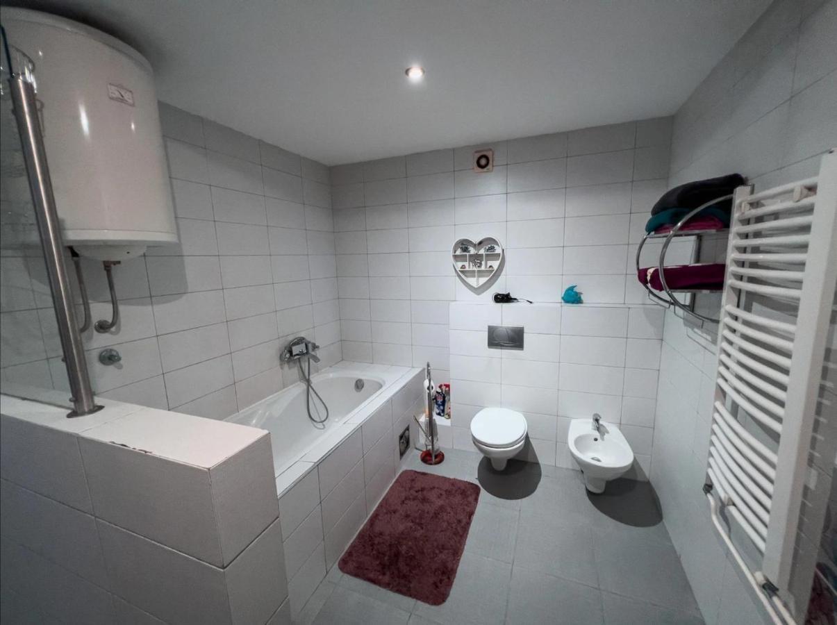 Owl Apartment Belgrad Dış mekan fotoğraf