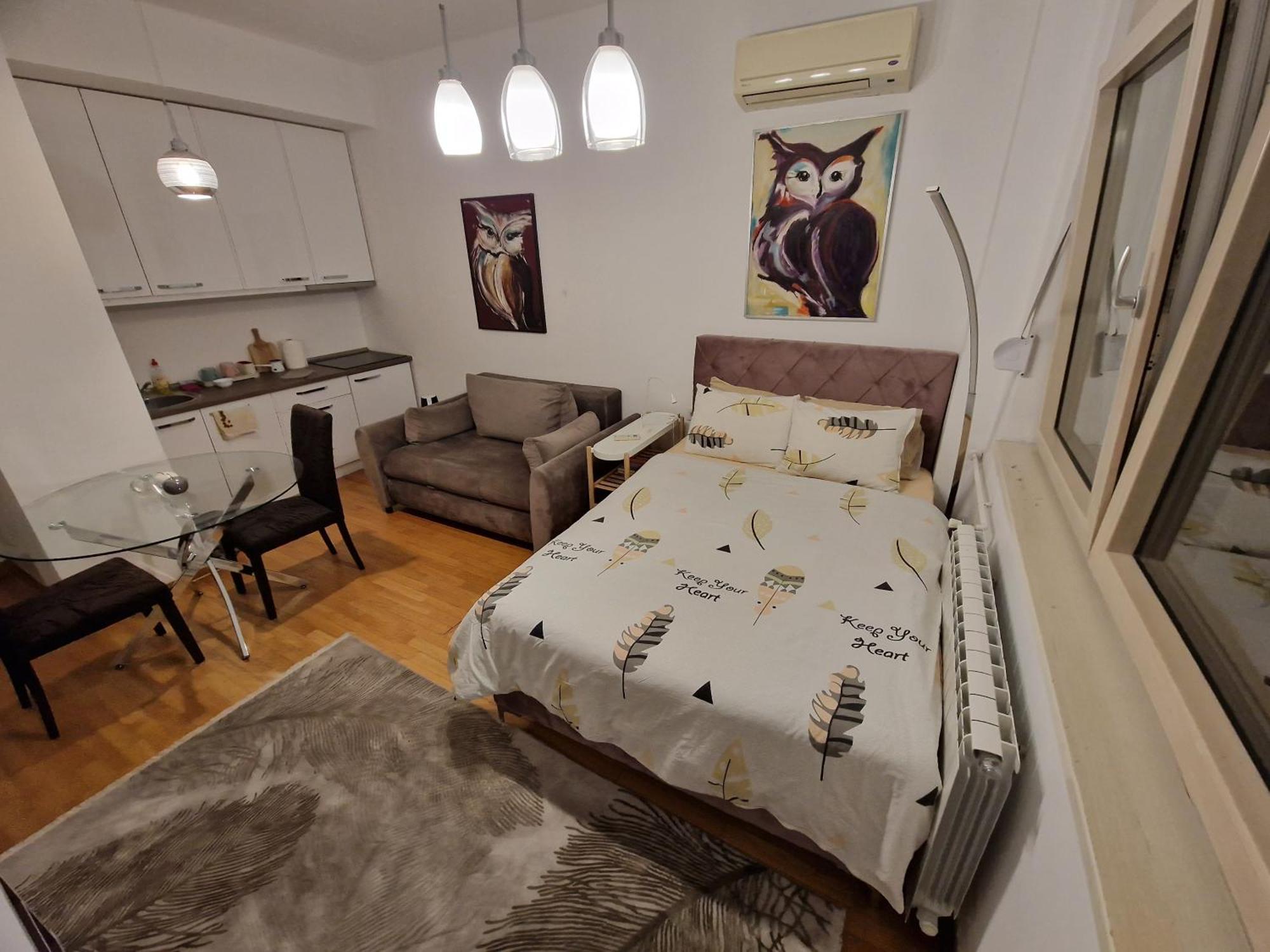 Owl Apartment Belgrad Dış mekan fotoğraf
